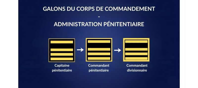 galons corps de commandement