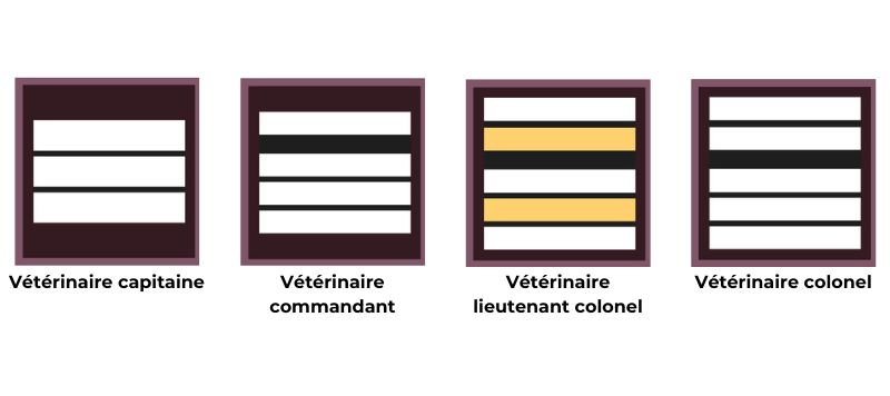 grades v�t�rinaires pompiers